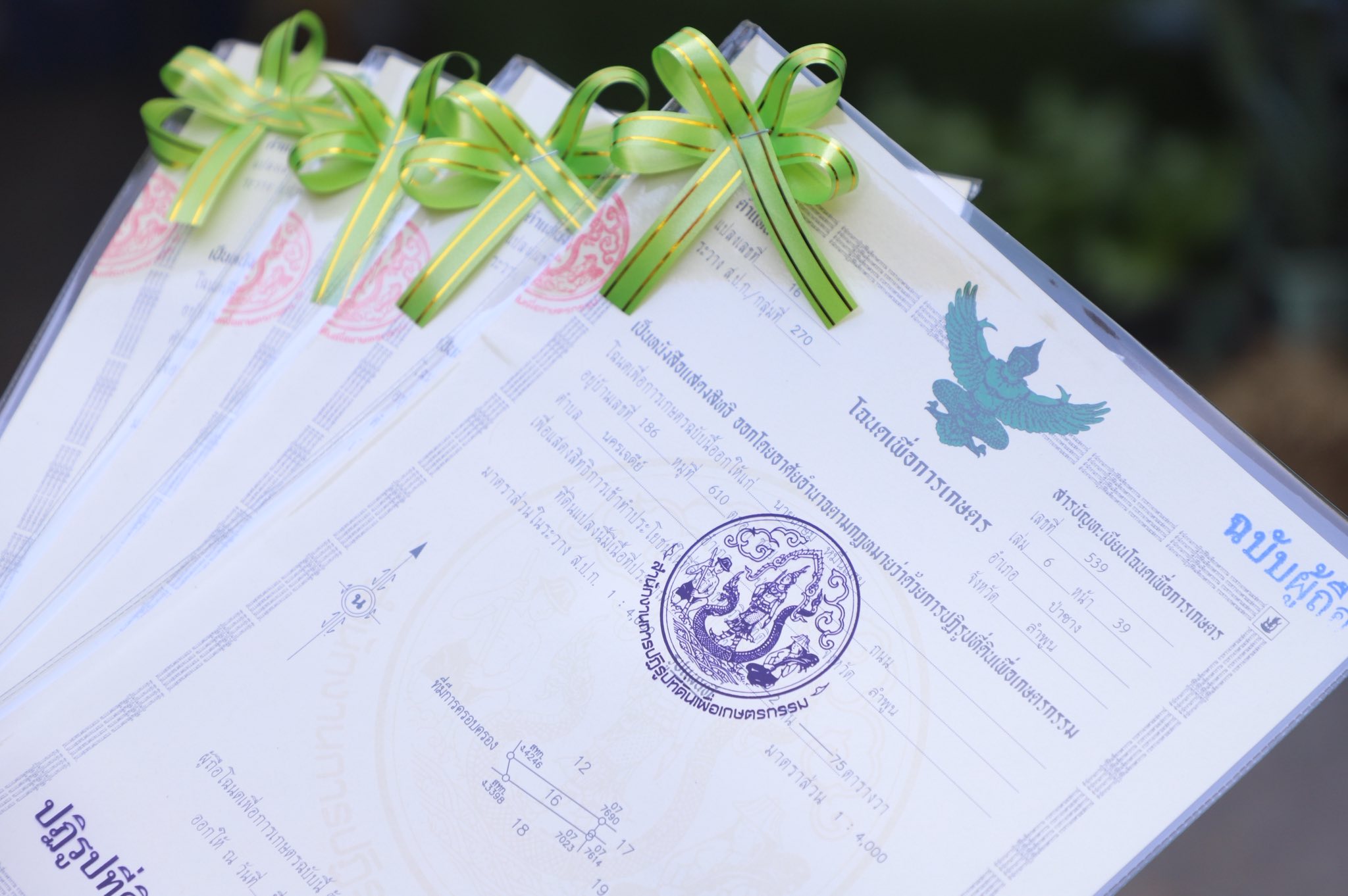 title - ”พลิกโฉมเกษตรกรสู่ผู้ประกอบการ“ ส.ป.ก.ลำพูน โชว์ความสำเร็จเกษตรอินทรีย์ครบวงจร ตั้งแต่แปลงปลูกสู่ตลาดพรีเมียม!!